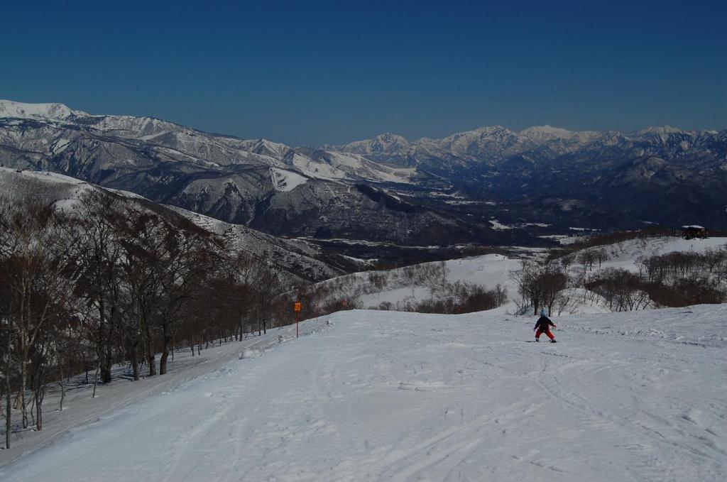 Il Bosco Villa Hakuba Dış mekan fotoğraf